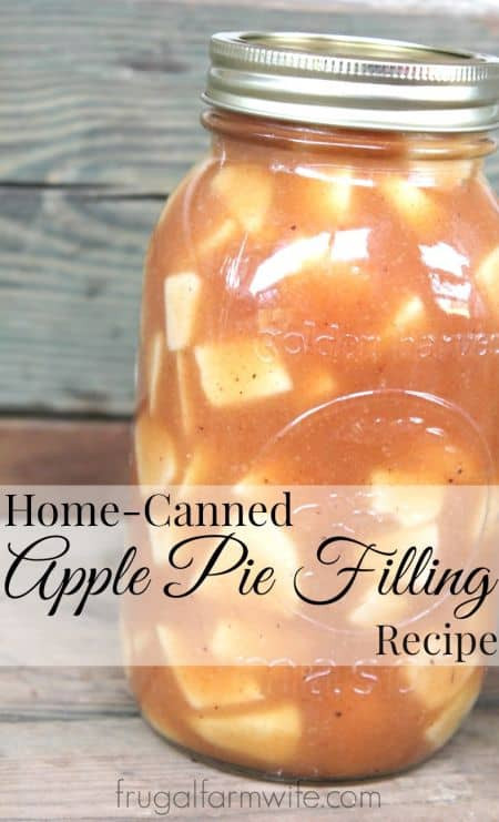 Apple Pie Filling Canning
 Homemade Apple Pie Filling Recipe For Canning
