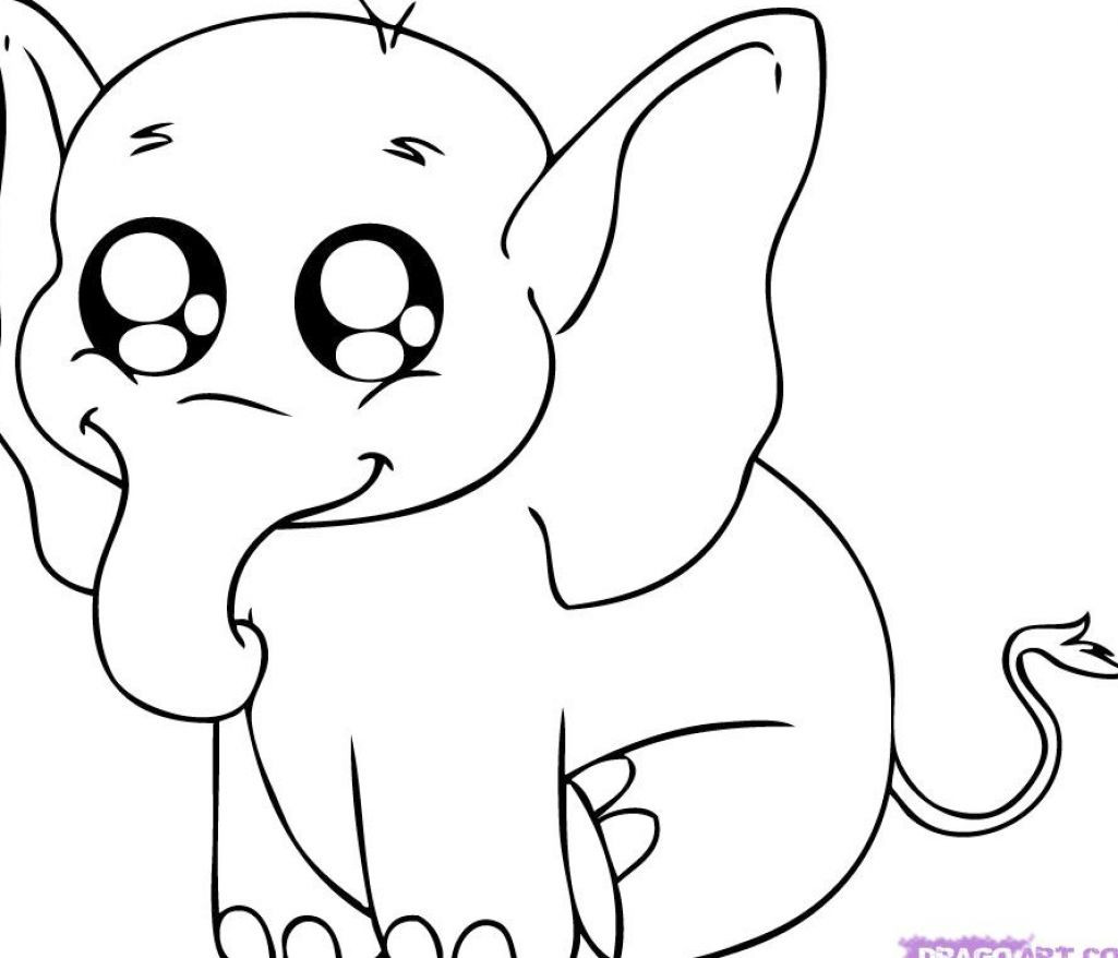 Baby Animal Coloring Pictures
 Printable animal coloring pages 13 Sheets