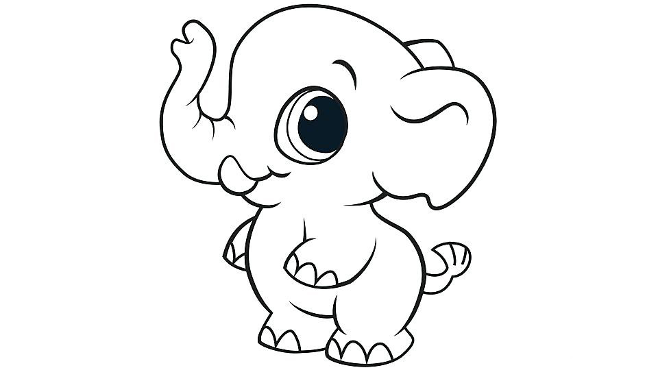 Baby Animal Coloring Pictures
 Cute Animal Coloring Pages Best Coloring Pages For Kids