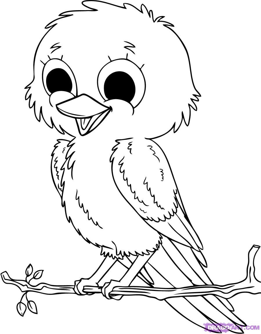 Baby Animal Coloring Pictures
 Baby Animals Coloring Pages To Kids