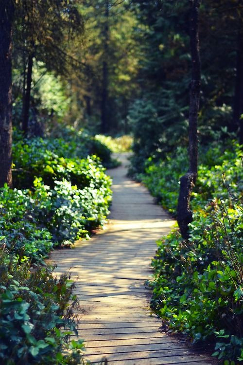 Backyard Walking Path
 13 best images about Terassi on Pinterest