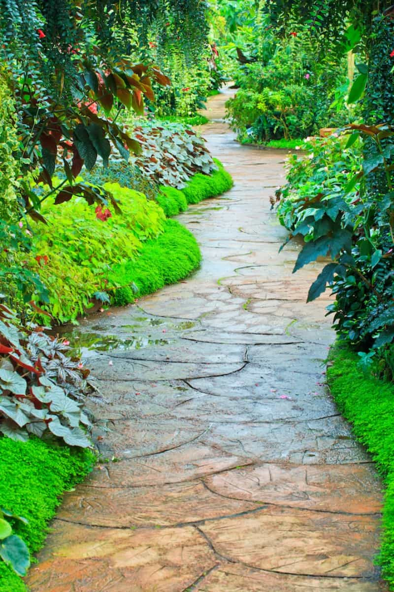 Backyard Walking Path
 35 Garden Paths That Take Joy in the Journey