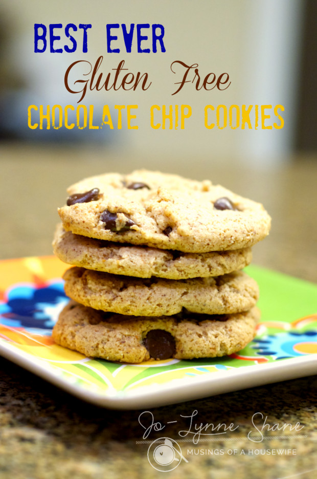 Best Gluten Free Cookie Recipes
 Gluten Free Chocolate Chip Cookies