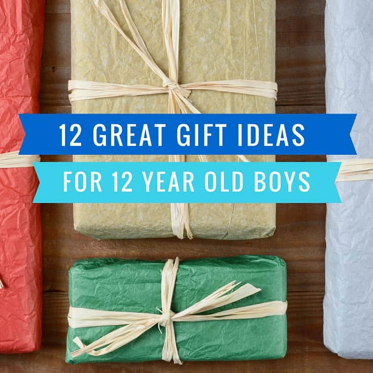 Birthday Gifts For 12 Year Old Boy
 12 Great Gift Ideas for a 12 Year Old Boy Mom in the City