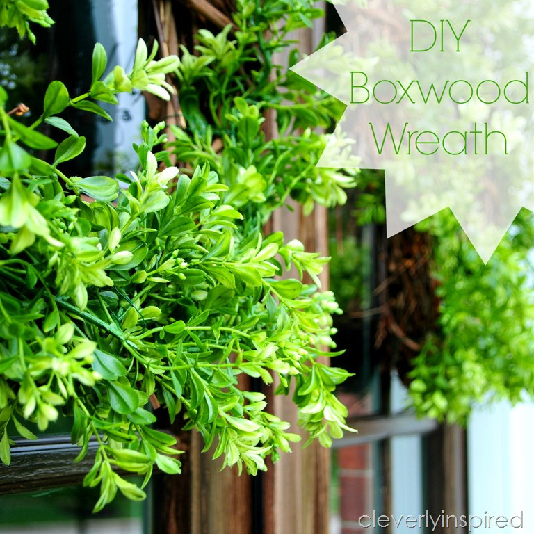 Boxwood Wreath DIY
 DIY Boxwood Wreath Cleverly Inspired