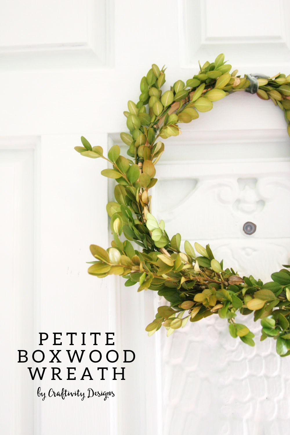Boxwood Wreath DIY
 How to Make a Boxwood Wreath – Craftivity Designs