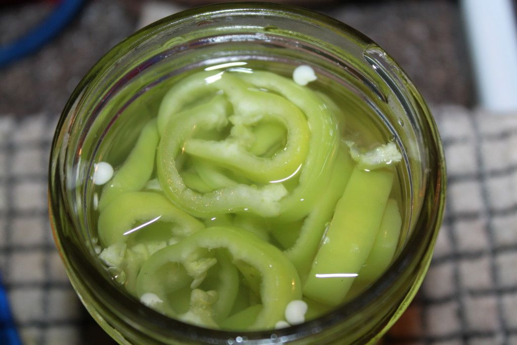 Canning Banana Peppers Rings Recipes
 How to Can Pepper Rings Recipe