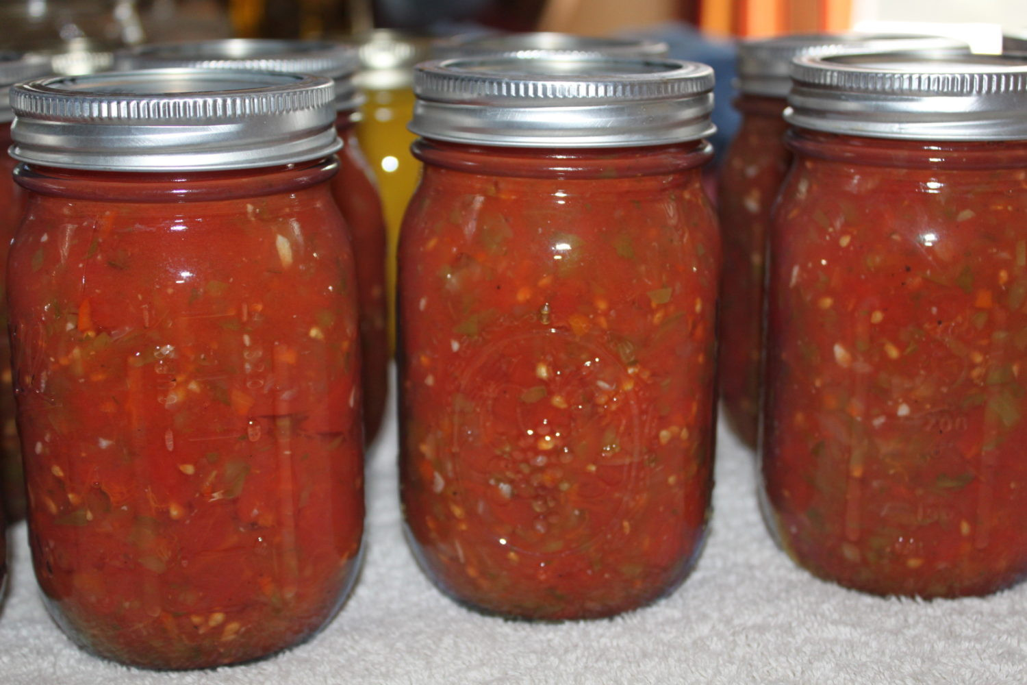 Canning Salsa Recipe
 Classic Salsa Canning Recipe Made Straight From The Garden