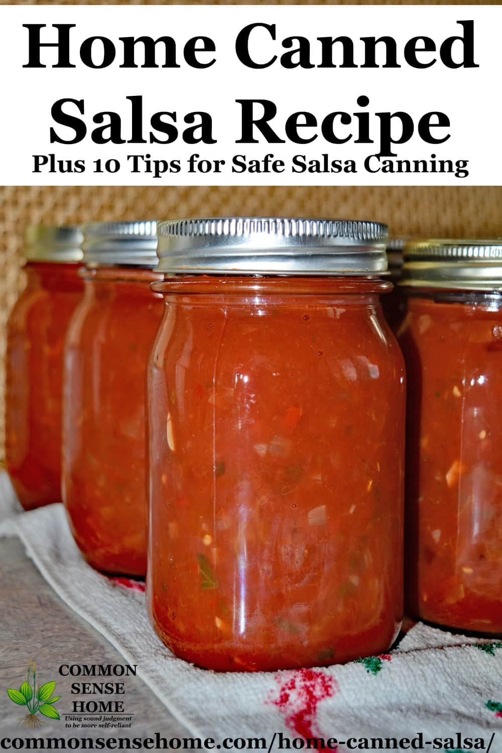Canning Salsa Recipe
 Home Canned Salsa Recipe Plus 10 Tips for Canning Salsa