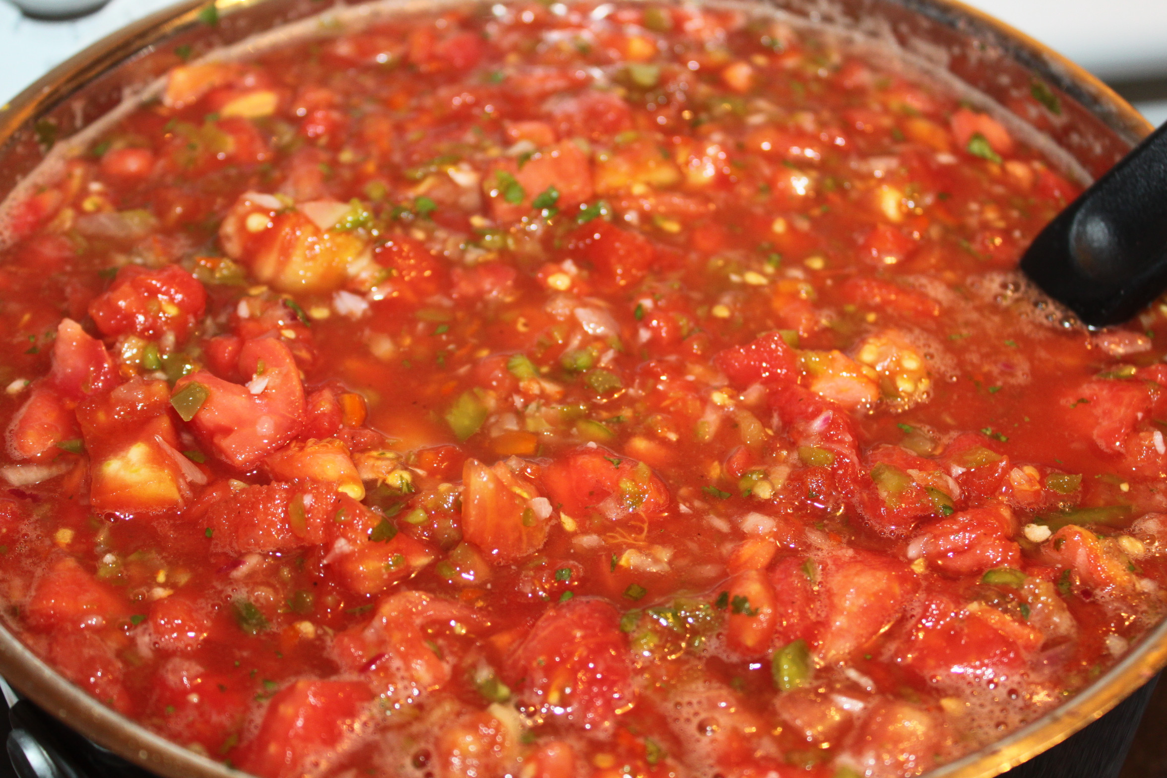 Canning Salsa Recipe
 Summertime Salsa Recipe – Fresh Canned To Enjoy All