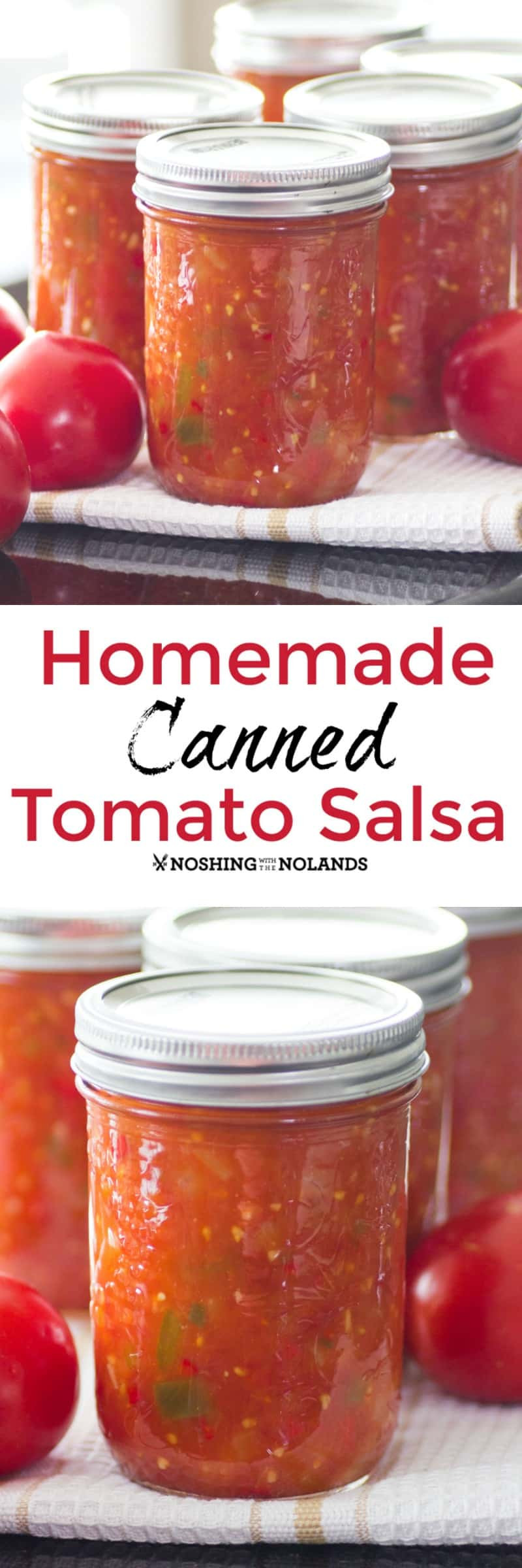 Canning Salsa Recipe
 Homemade Canned Tomato Salsa is the best with fresh summer