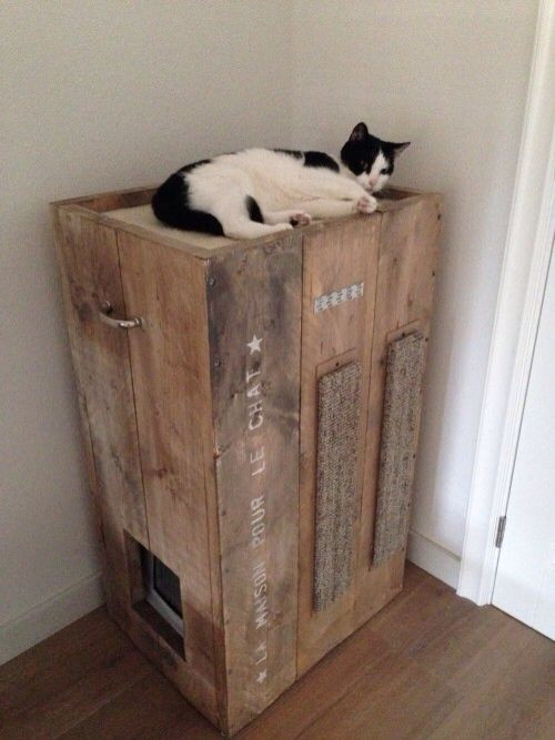 Cat Box Furniture DIY
 8 Creative Ways to Hide Your Cat s Litter Box