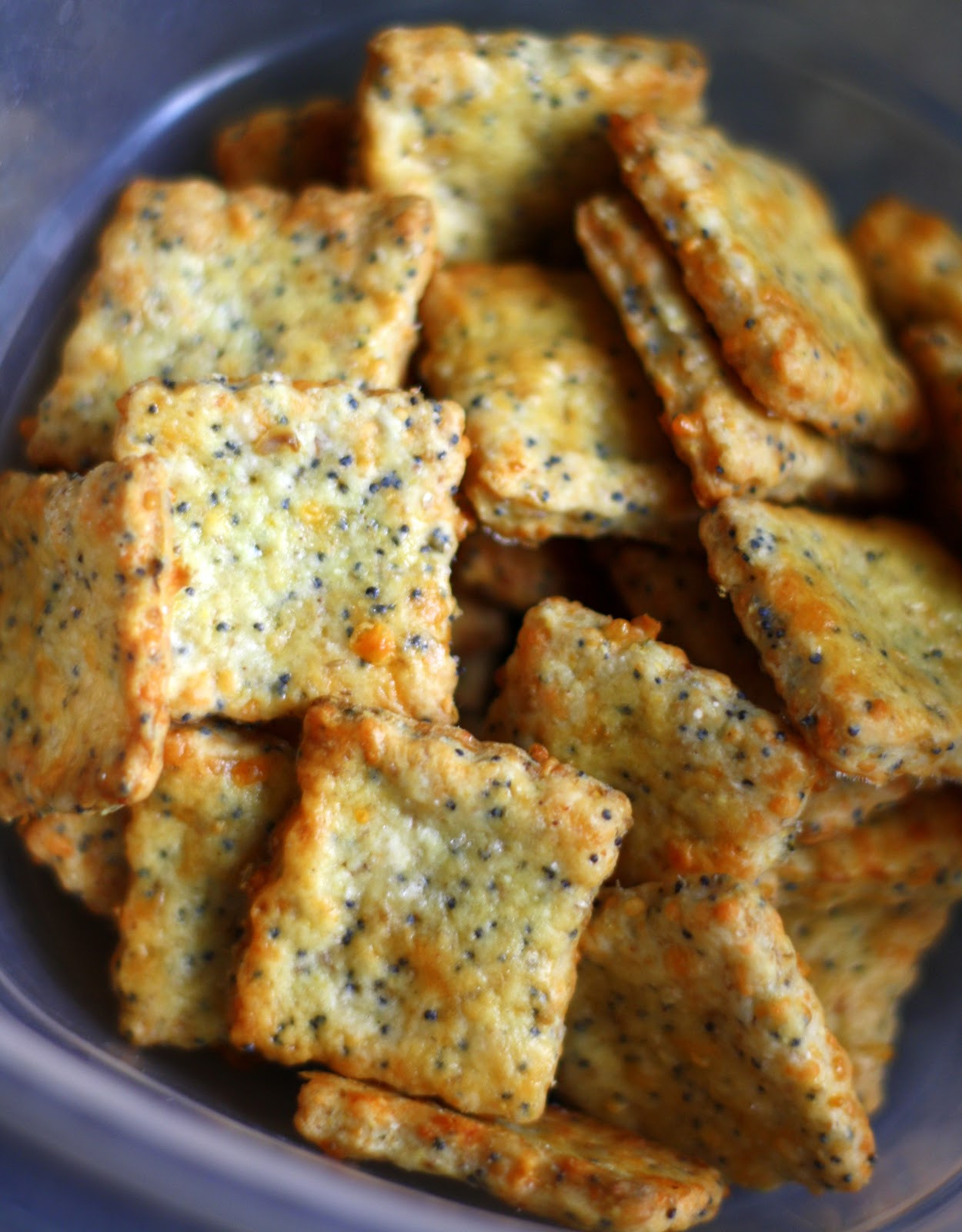 Cheddar Cheese Crackers
 Jane s Sweets & Baking Journal Parmesan Cheddar Crackers