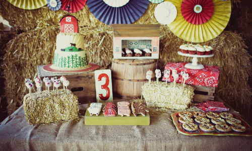 Coed Birthday Party Ideas
 20 DIY Summer Birthday Party Ideas for Kids Help We ve