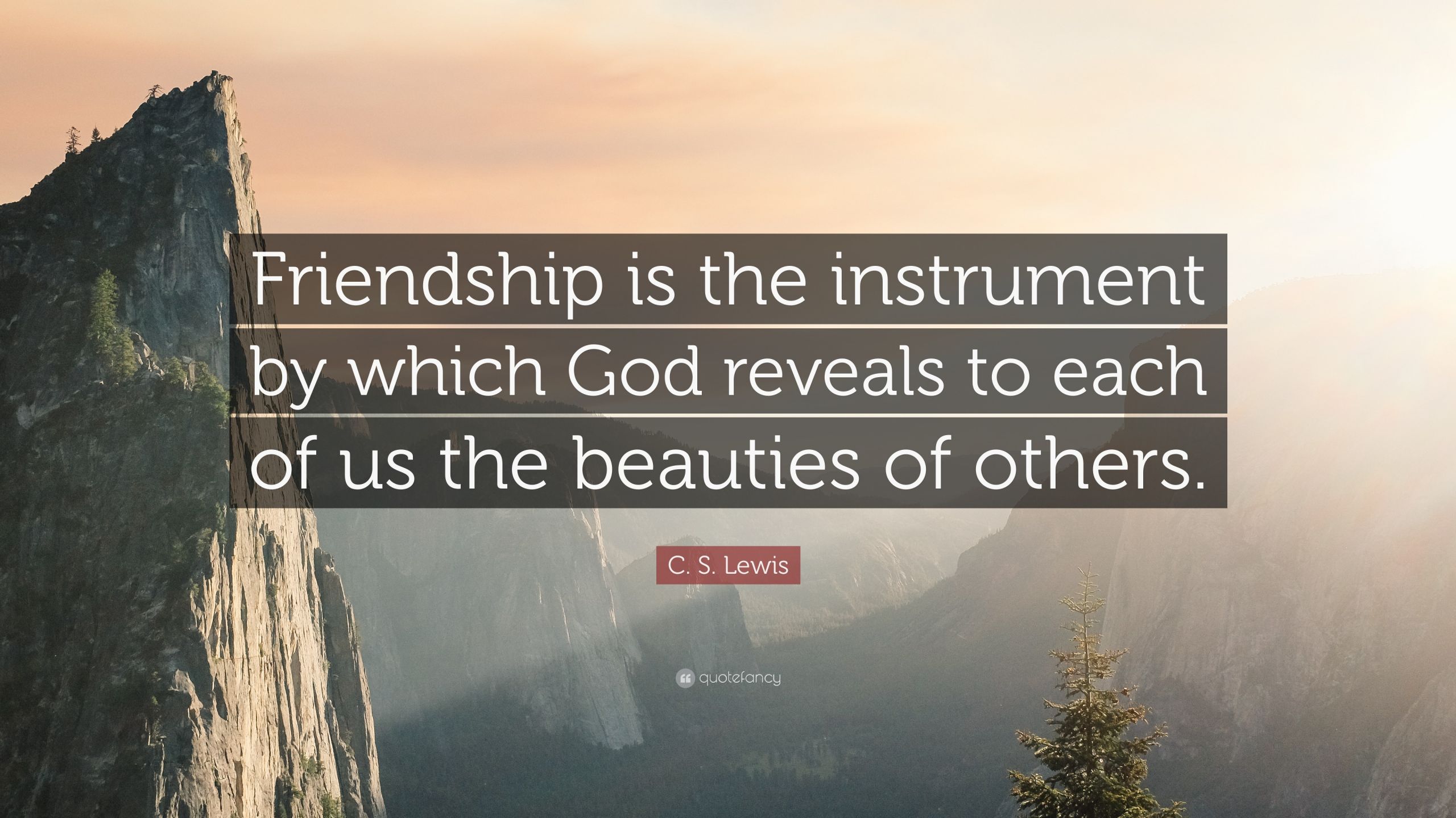 Cs Lewis Friendship Quote
 C S Lewis Quote “Friendship is the instrument by which