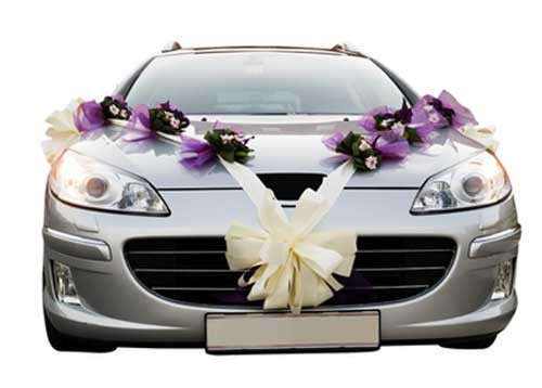 Decorate Wedding Car
 Wedding Car Decorations and Accessories