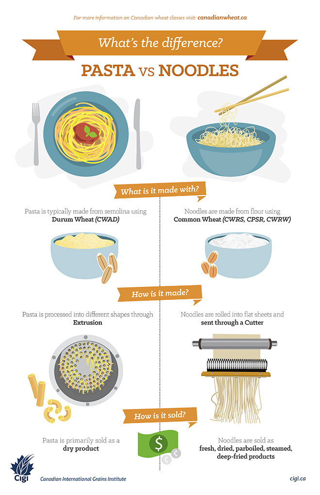 Difference Between Pasta And Noodles
 Infographic The difference between pasta and noodles
