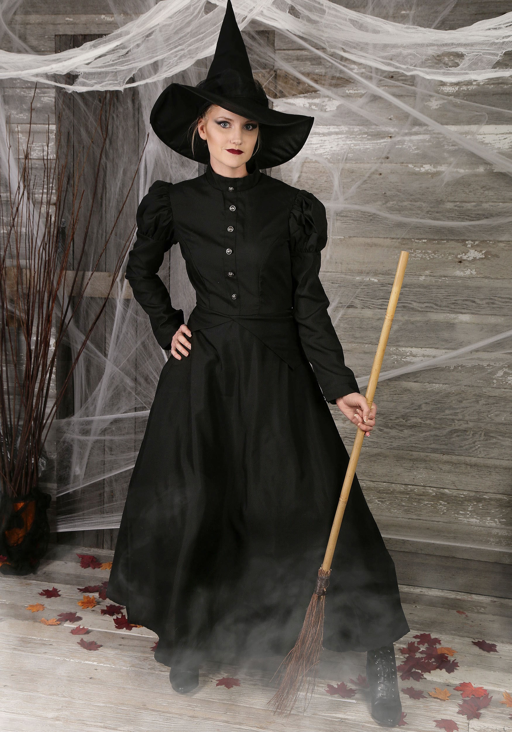 DIY Adult Witch Costume
 Womens Deluxe Witch Costume