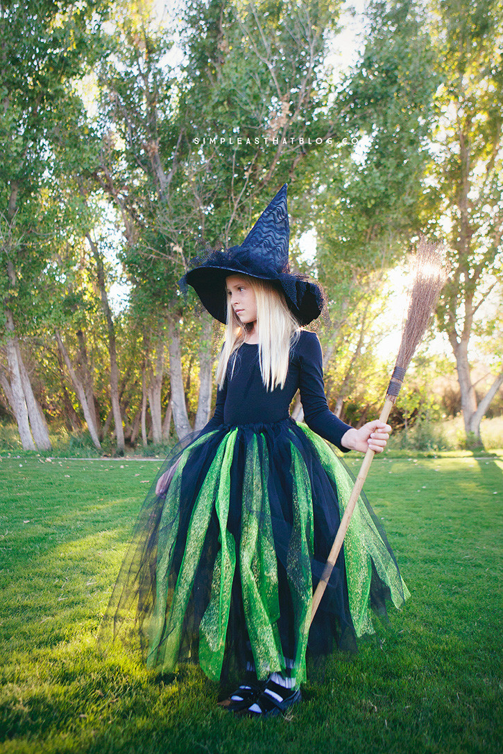 DIY Adult Witch Costume
 DIY Glinda and Wicked Witch of the West Halloween Costumes