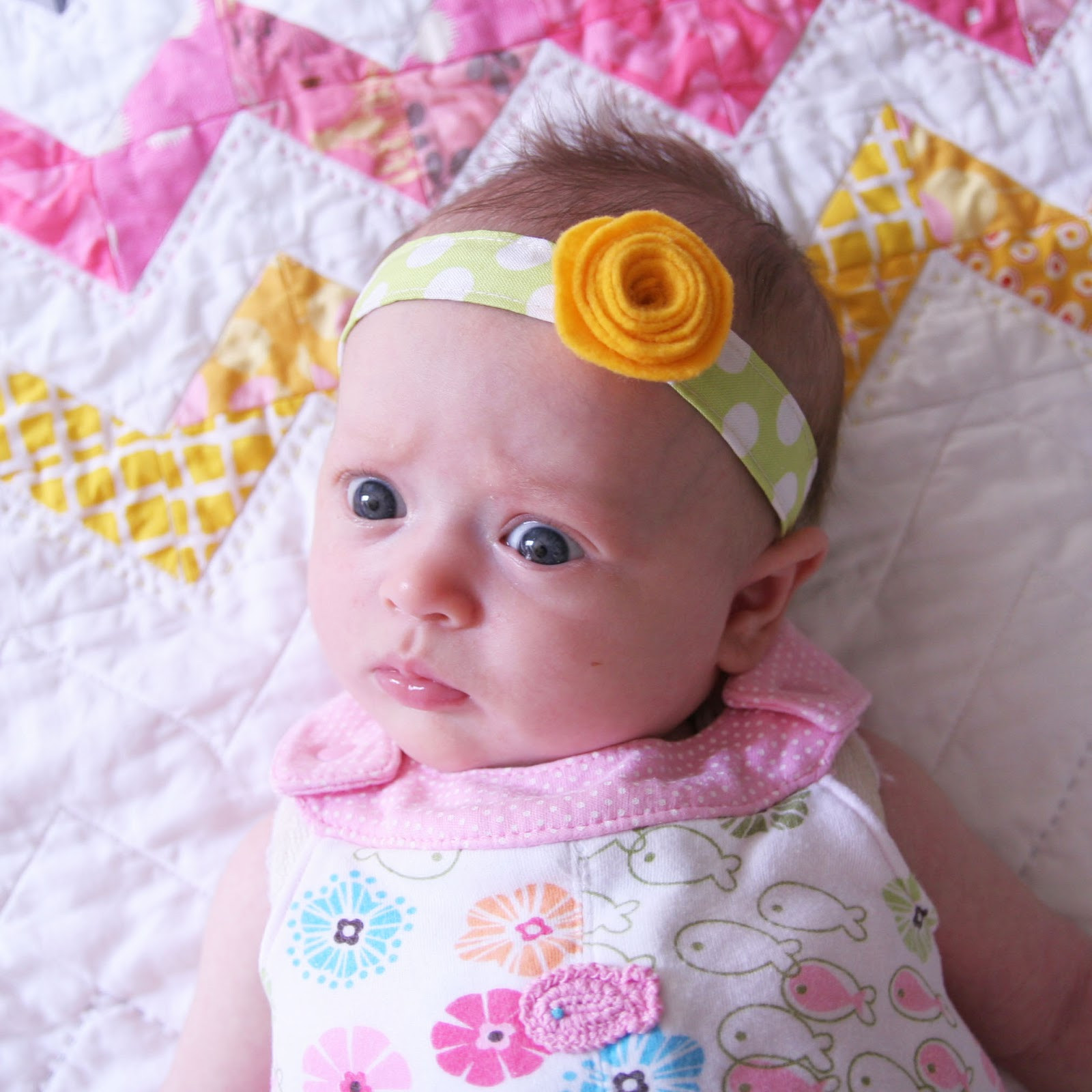 DIY Baby Bow Headbands
 DIY Baby Headband Homemade Ginger