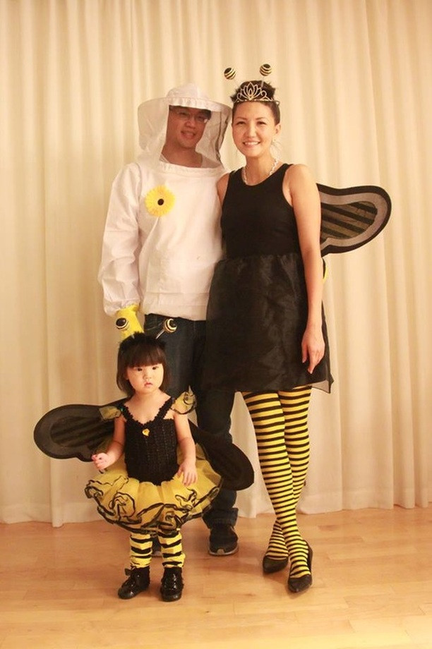 DIY Beekeeper Costume
 12 DIY Family Themed Costumes Blogs Bloglikes