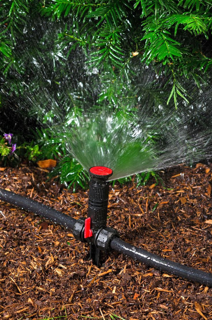 DIY Christmas Tree Watering System
 Ground Irrigation Systems for Landscaping