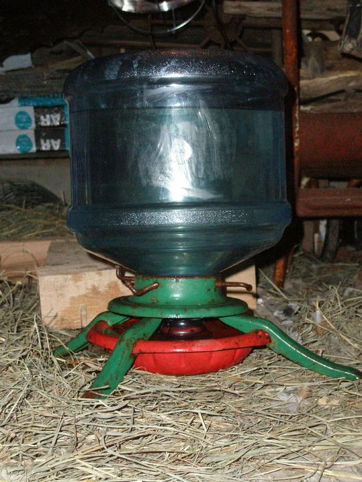 DIY Christmas Tree Watering System
 73 best Chicken Water images on Pinterest