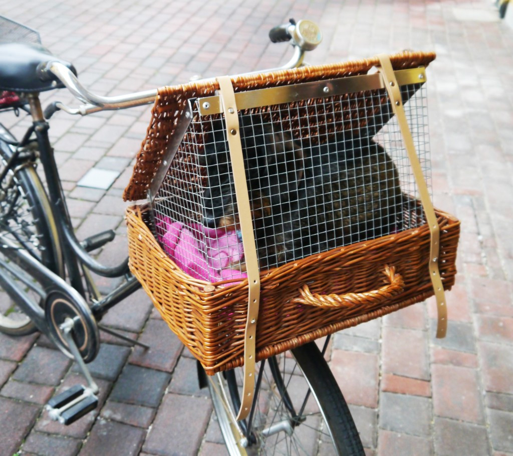DIY Dog Bike Basket
 DIY dog bicycle basket
