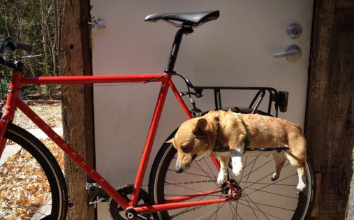 DIY Dog Bike Basket
 DIY dog bike basket ideas