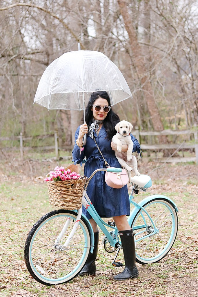 DIY Dog Bike Basket
 DIY Bike Basket Darling Darleen