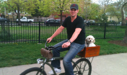 DIY Dog Bike Basket
 DIY dog bike basket ideas