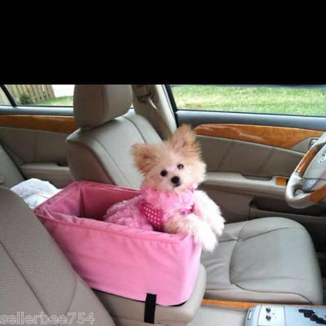 DIY Dog Console Car Seat
 Pink dog car seat