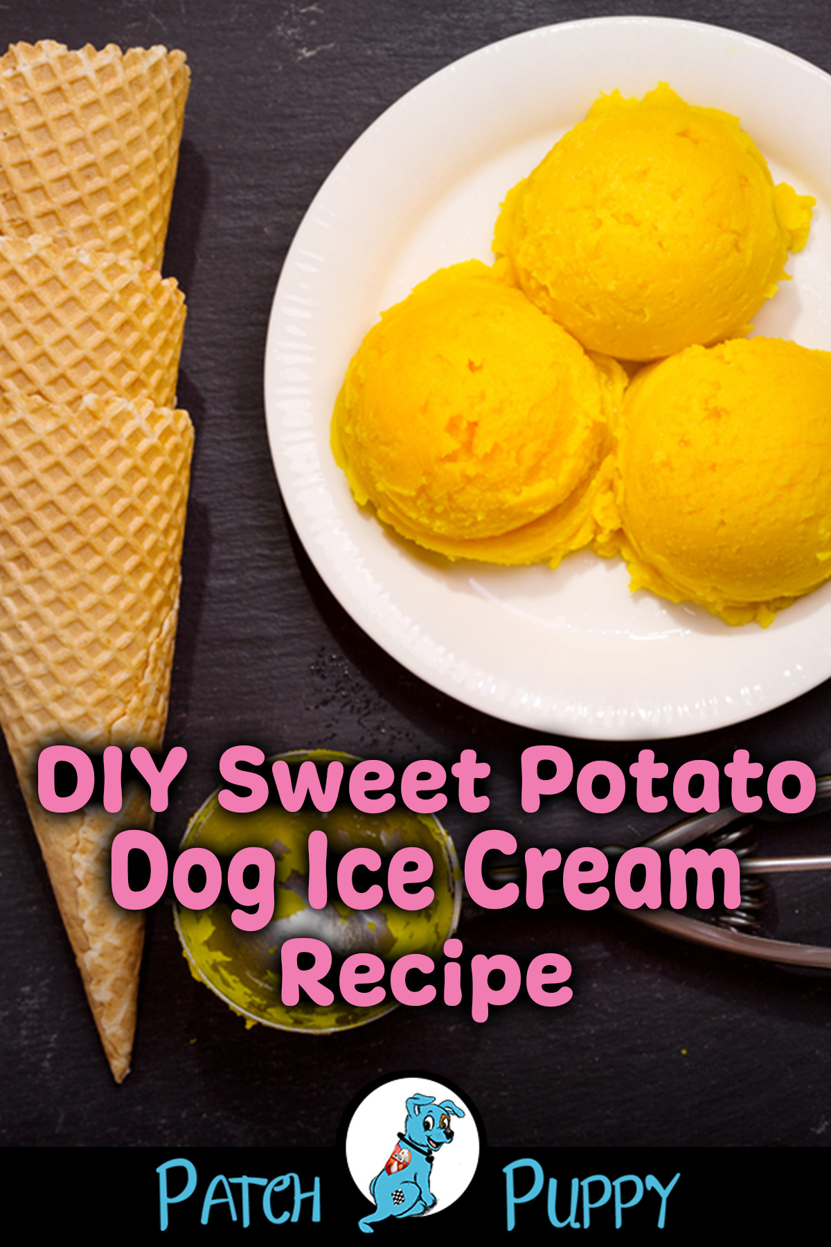 DIY Dog Ice Cream
 3 DIY Dog Ice Cream Recipes Homemade "Frosty Paws" Style
