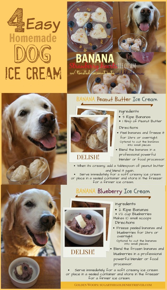 DIY Dog Ice Cream
 4 Easy Homemade Dog Ice Cream Recipes Golden Woofs