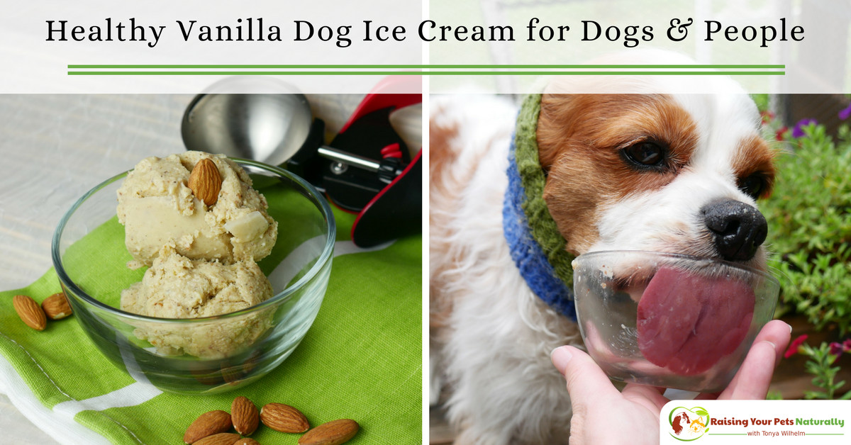 DIY Dog Ice Cream
 Dog Ice Cream Recipe