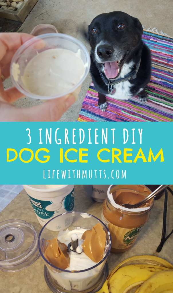 DIY Dog Ice Cream
 3 Ingre nt DIY Dog Ice Cream Life With Mutts