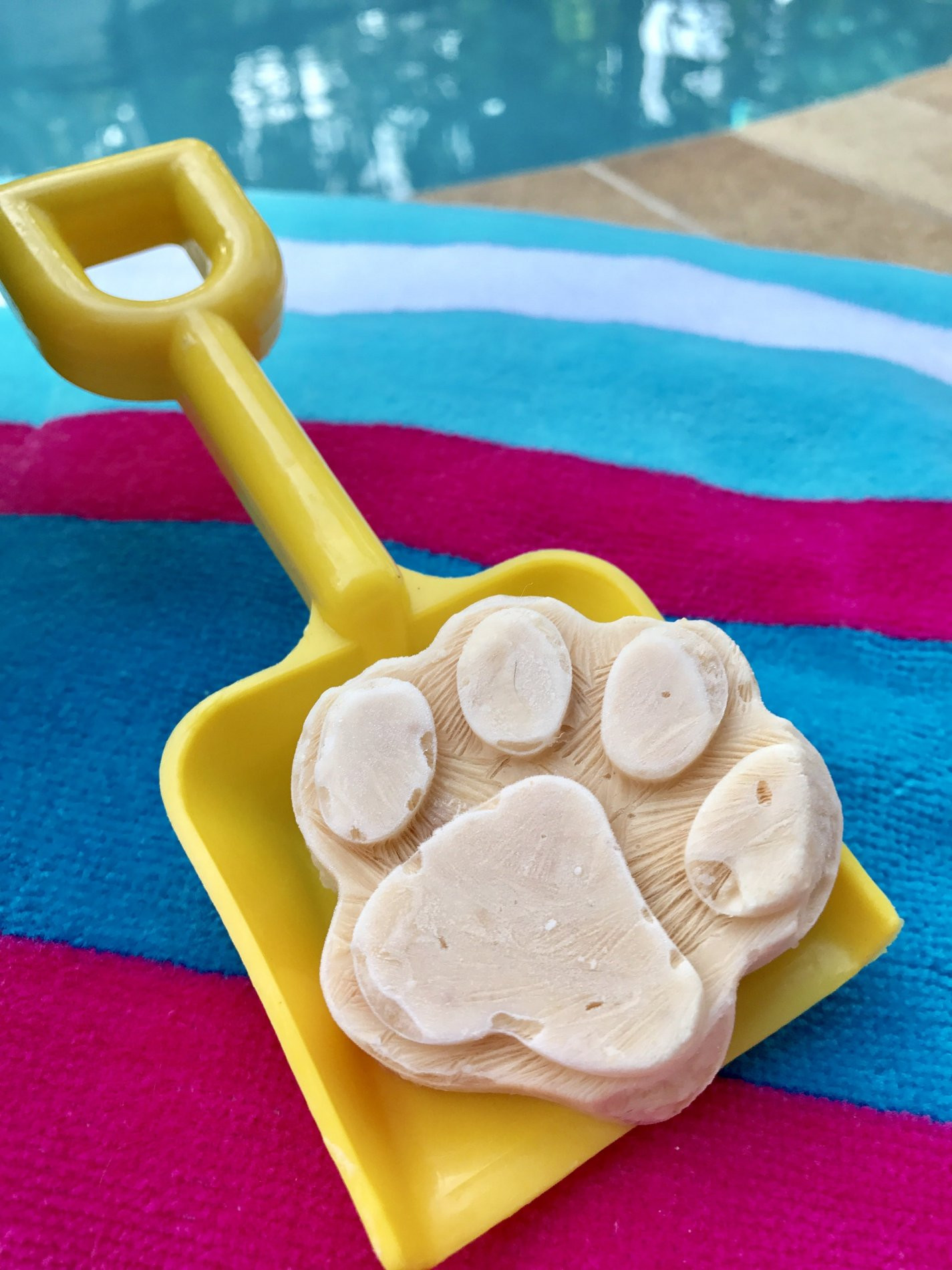DIY Dog Ice Cream
 Five Reasons to Make This Homemade Dog Ice Cream