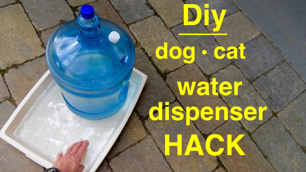 DIY Dog Water Dispenser
 How to make DOG CAT Self filling Water Dispenser