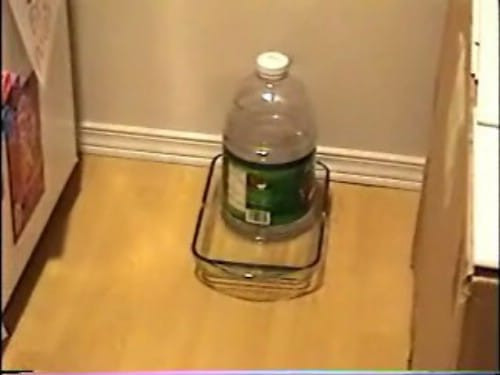 DIY Dog Water Dispenser
 20 Fun and Creative Crafts with Plastic Soda Bottles