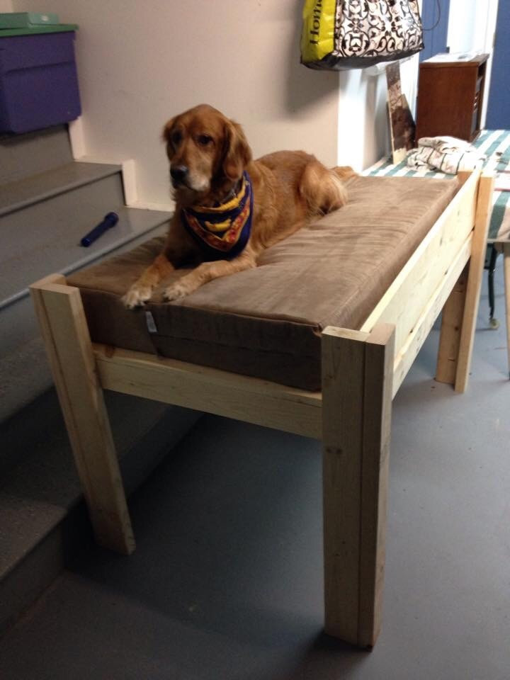 DIY Elevated Dog Bed
 Dog bed