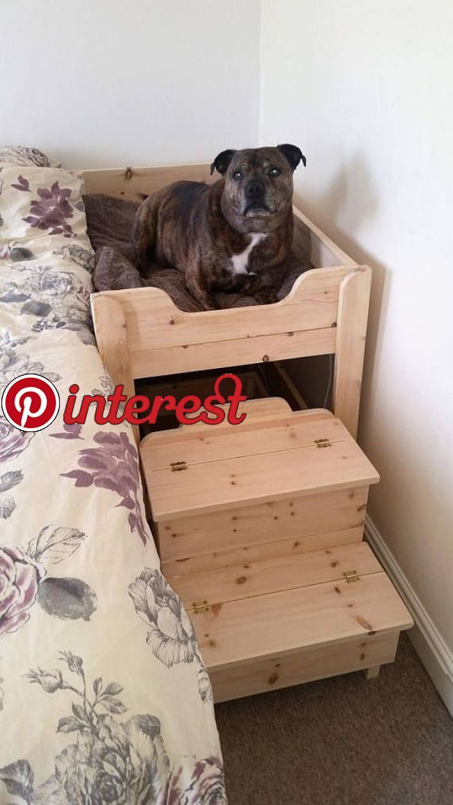 DIY Elevated Dog Bed
 The Benson Co Sleeper Wooden Raised Dog Bed with Storage