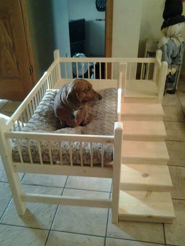 DIY Elevated Dog Bed
 With Steps 31 DIY Pet Beds for Your Furry Friends …