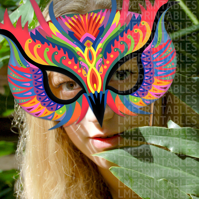 DIY Owl Mask
 Owl Mask Colorful Bird Printable DIY Carnival Costume Mardi