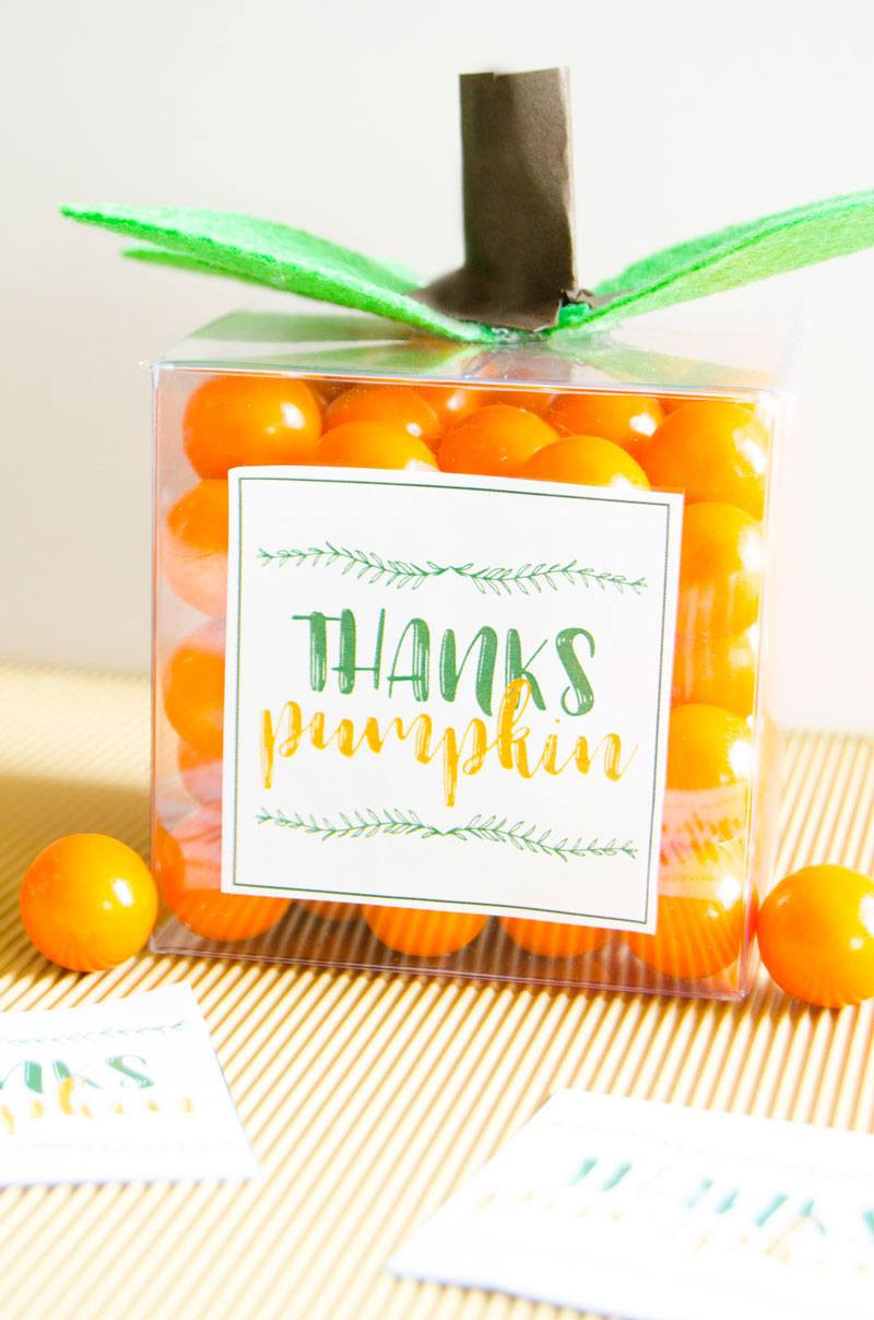 Diy Thanksgiving Gifts
 Easy DIY Thanksgiving Gifts For Any Age