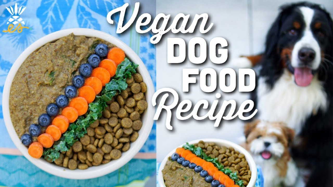 DIY Vegan Dog Food
 What We Feed Our Dog Homemade Vegan Dog Food Recipe