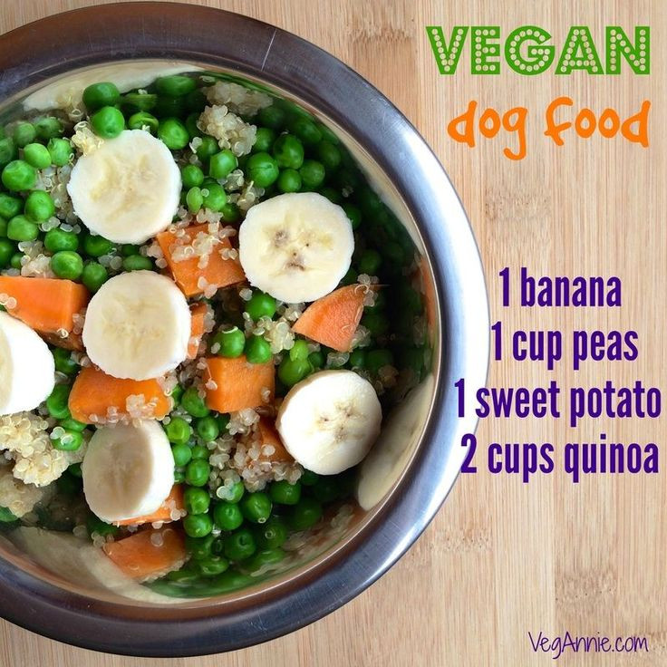 DIY Vegan Dog Food
 Homemade vegan dog food Woof
