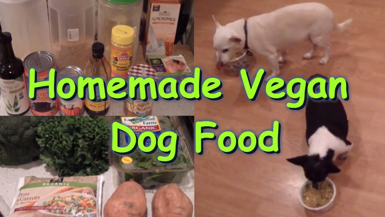 DIY Vegan Dog Food
 Homemade Dog food Recipe Vegan Plant based