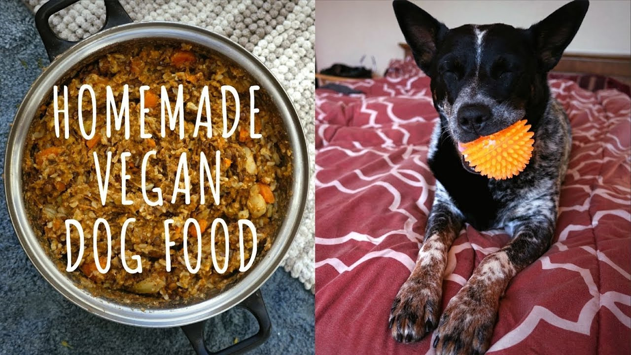 DIY Vegan Dog Food
 Homemade VEGAN Dog Food Recipe SUPER Cheap Healthy & Easy