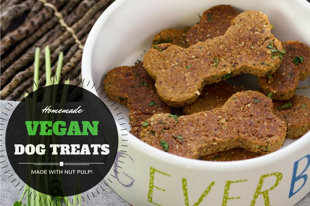 DIY Vegan Dog Food
 Homemade Vegan Dog Treat Recipe with Nut Pulp