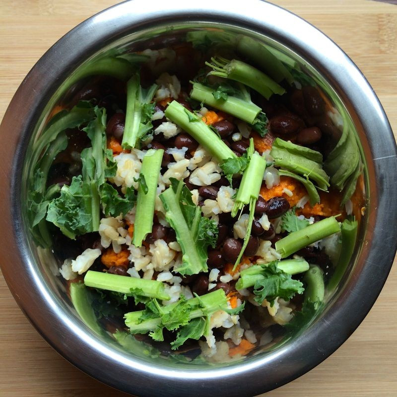DIY Vegan Dog Food
 Vegan Dog Food Recipe sweet potato brown rice black